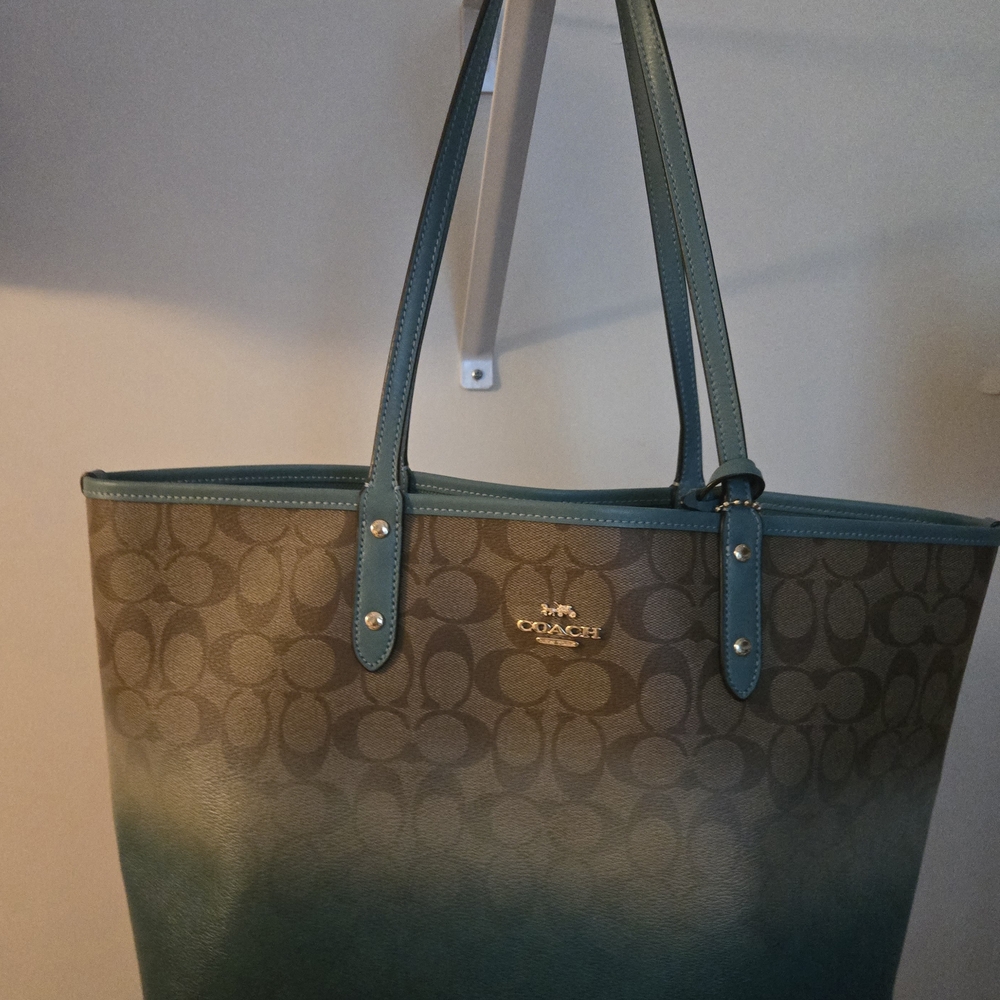 Coach Blue and Brown Women's Tote Bag